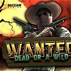 wanted dead or a wild slot